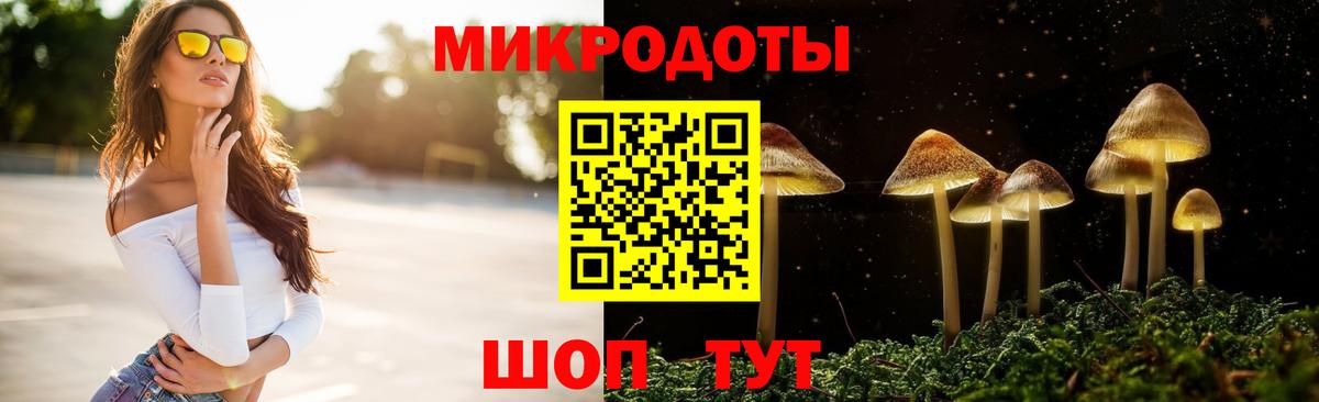 Димитровград  Галлюциногенные грибы ЛСД  Вход с VPN 